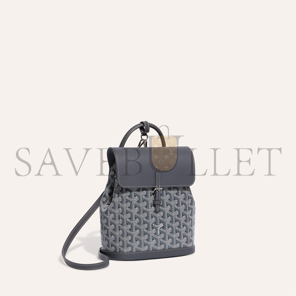 GOYARD ALPIN MINI BACKPACK ALPIN2MINTY51CL51P (23*19*9.5cm) GOYARD ALPIN MINI BACKPACK ALPIN2MINTY51CL51P (23*19*9.5cm)